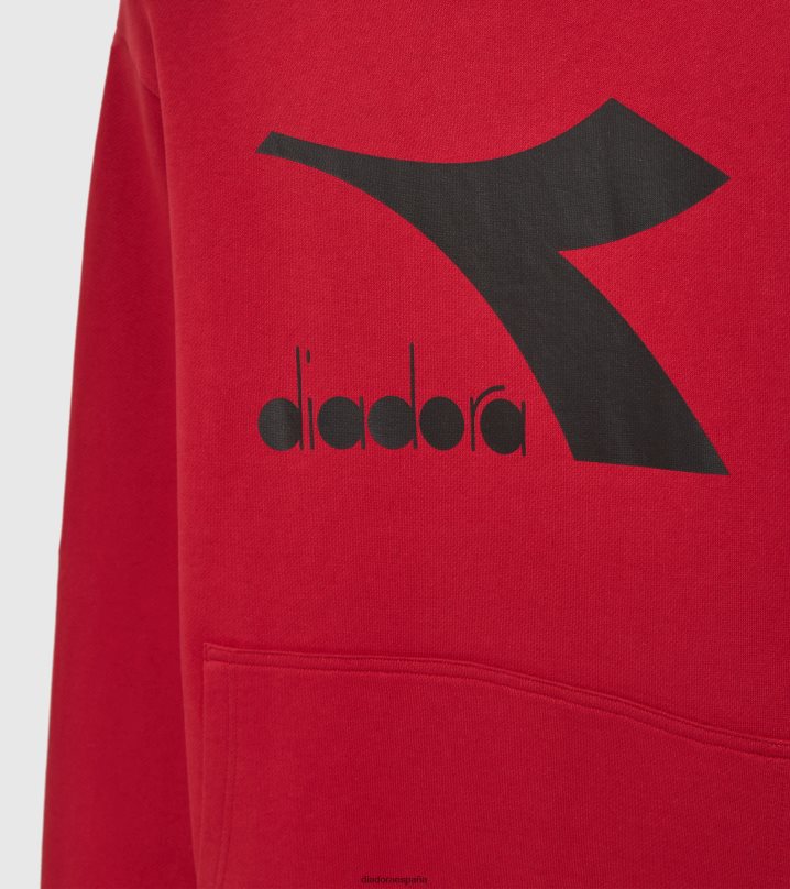 sudadera con capucha cromia 8T8H4Z343 salvia escarlata hombres Diadora vestir